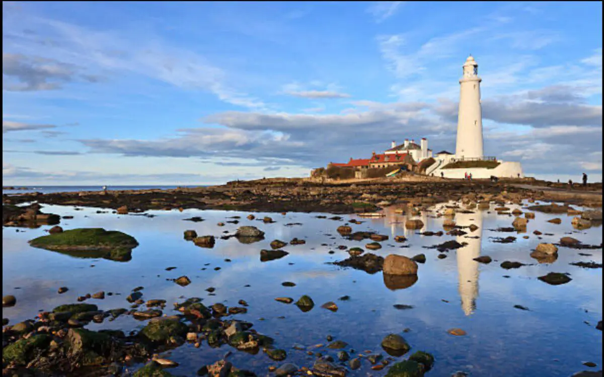 d58bedad b8c4 4c68 839c 2d4681d85bea.jpeg