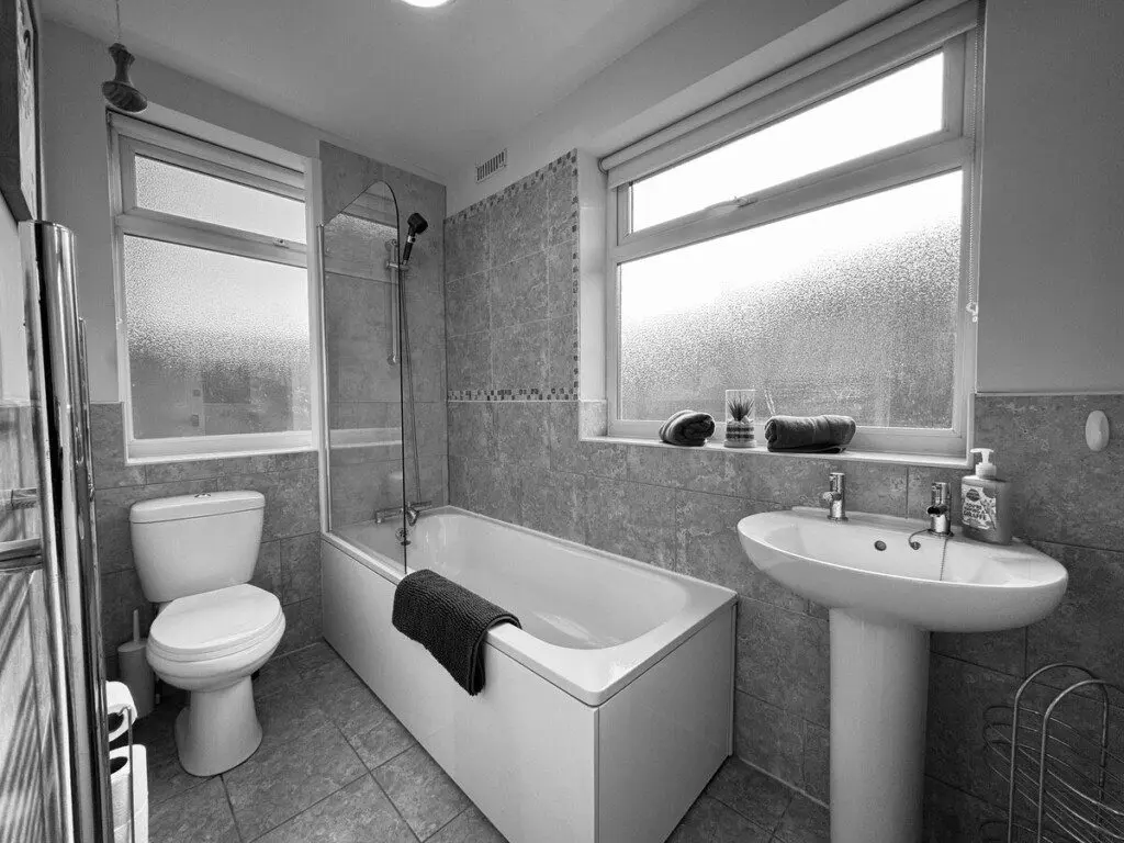 dc7ee436 5f6f 4cbc 883b 5616f50ced57.jpeg