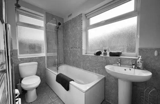 dc7ee436 5f6f 4cbc 883b 5616f50ced57.jpeg