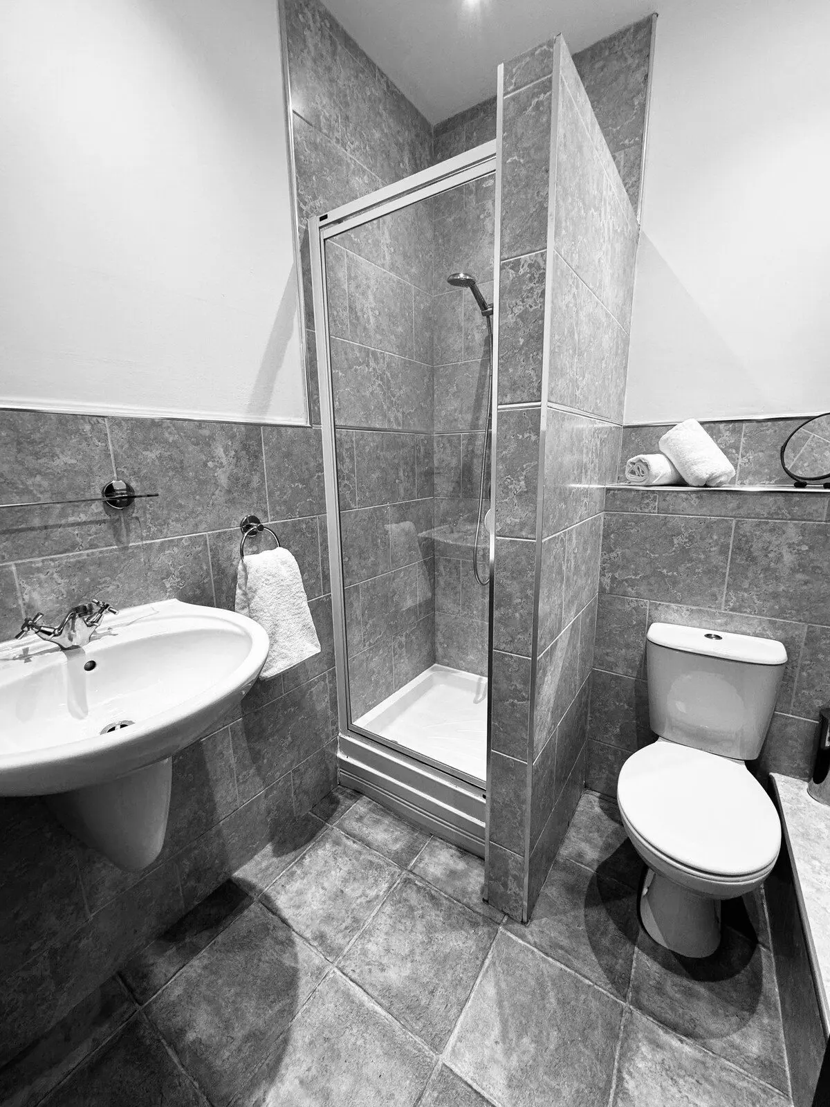 dd0423d2 725c 44d1 a859 26b9b9ef7099.jpeg