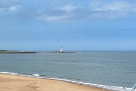 de36f058 c247 4579 8540 84859781884c.jpeg