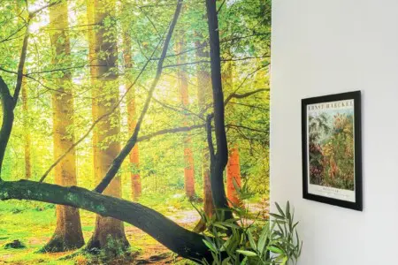 dfd6a8b2 4e6e 4573 a4bb c40d2edc4765.jpeg