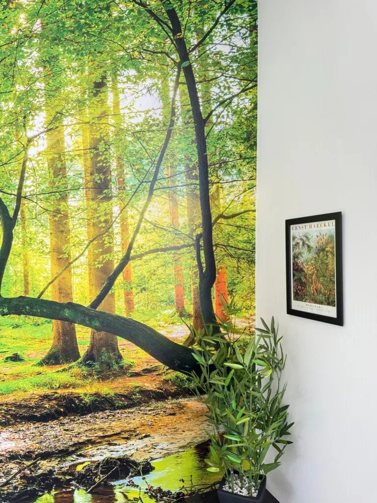 dfd6a8b2 4e6e 4573 a4bb c40d2edc4765.jpeg