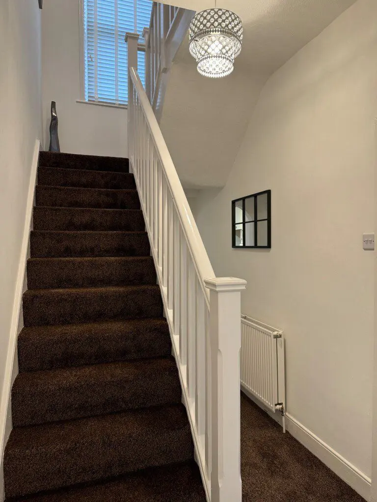 e0cc48af b979 4fc2 86a0 22020e791d50.jpeg