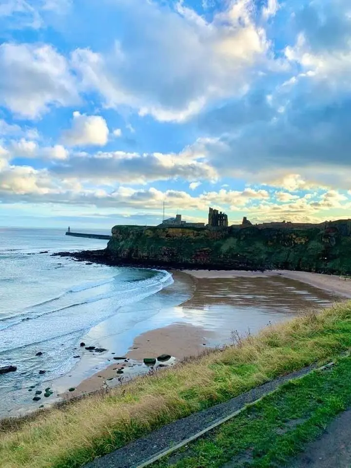 e3f61e77 e2be 434b 87b5 fd3511d3734c.jpeg