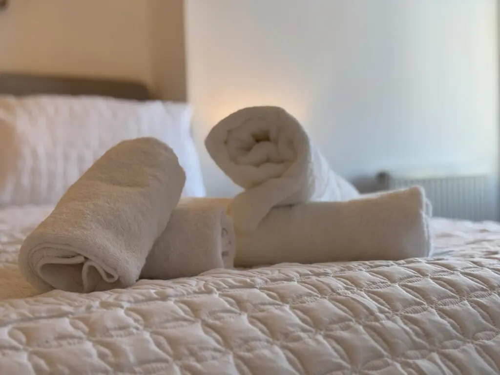 e659e16e 04d7 4828 8b9b 47ad263007c5.jpeg