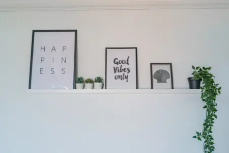 e81900d1 34c2 4fbe 8336 660c8f06c61b.jpeg