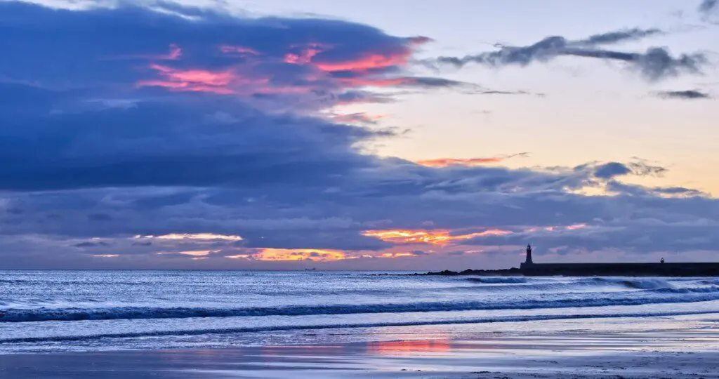 e9035209 099b 497f 9be3 f73d0f3fb00d.jpeg