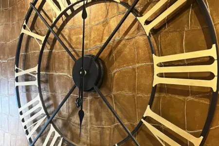 eb317e76 07a1 4a87 bdd6 d88ce86c8a17.jpeg