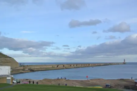 ec35431e 81d0 45fb b868 b026e425f665.jpeg