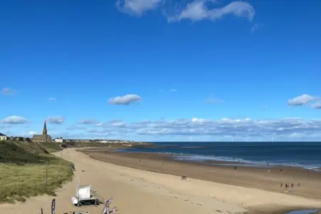 ee7be1db f7fa 44b4 88f1 e30abde69e18.jpeg