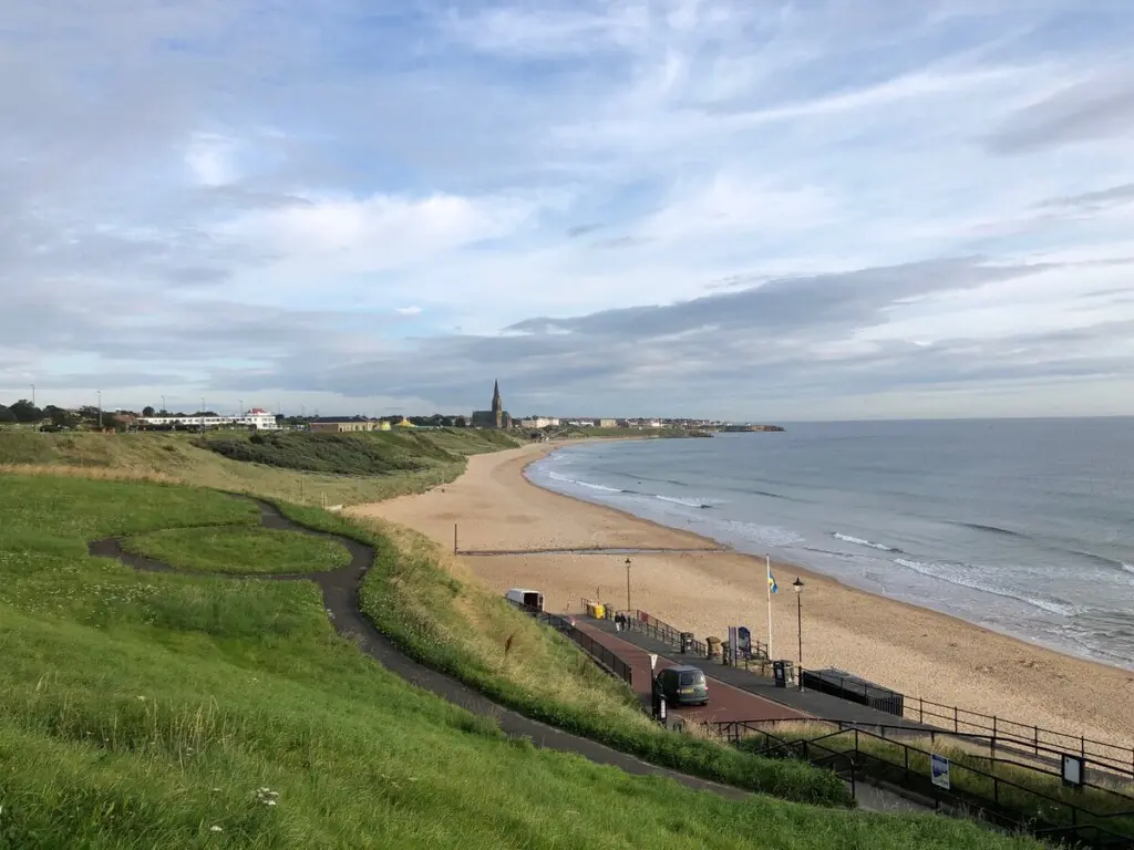 f95cc401 3dae 4aa7 a834 860bd4114cd2.jpeg