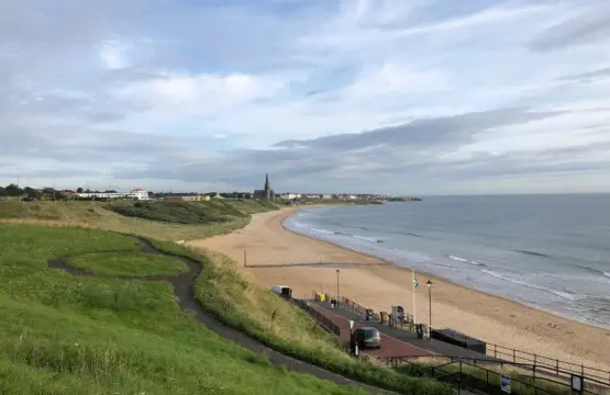 f95cc401 3dae 4aa7 a834 860bd4114cd2.jpeg