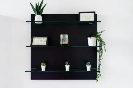 fc84b3ff 6c1c 4a8c b43d f7b399bc69d0.jpeg