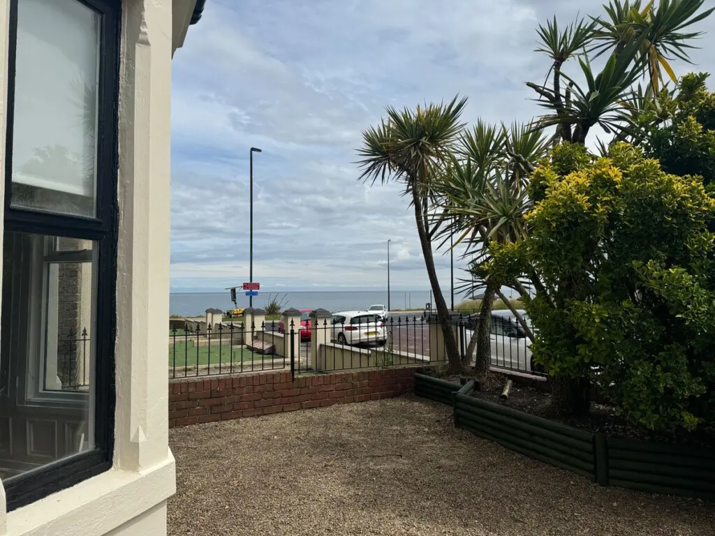 fcc55939 41ce 4740 bfe4 df029e08eb87.jpeg