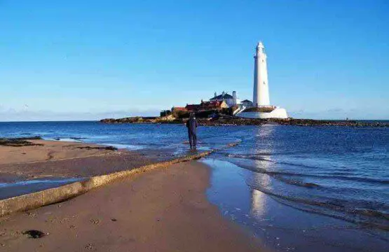 ffad2860 fb2d 4b11 beba a60bae9921a3.jpg