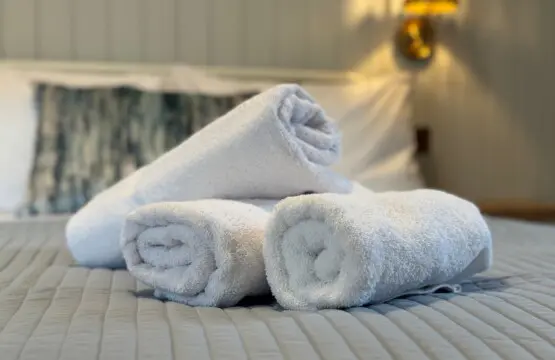 0fe05943 5c67 4842 ac86 1dfd5081ca4f.jpeg