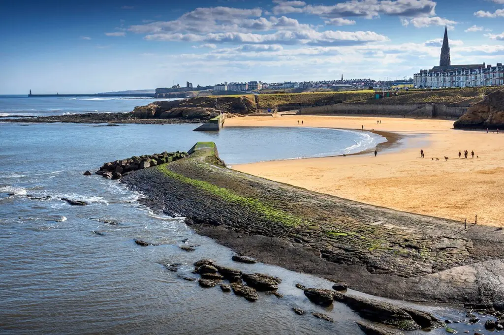 1be7f56b b3ef 4b5e ab36 bef6442508c9.jpeg