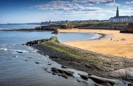 1be7f56b b3ef 4b5e ab36 bef6442508c9.jpeg