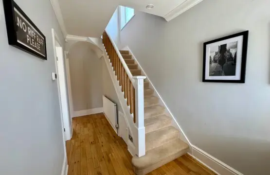 32212ca3 43b1 4eca bac0 d5ea7941d569.jpeg