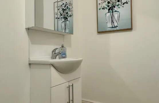 51a6559d 174c 49c4 a150 7995f2358f08.jpeg