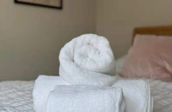 986649a5 089a 4fa6 b2ec 3ae12b44264a.jpeg