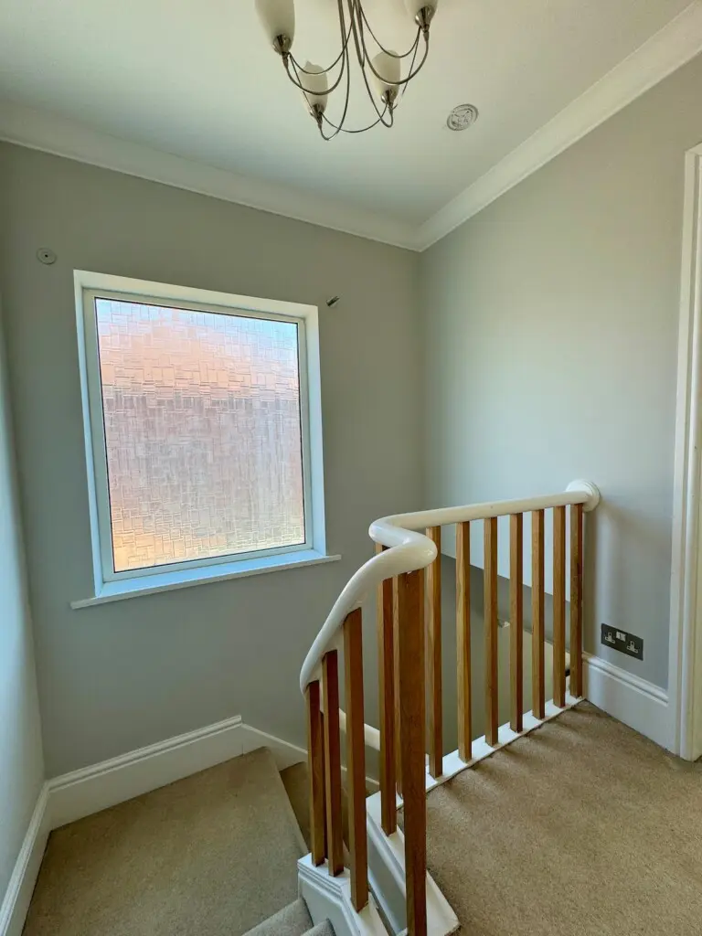 999b3d82 050a 4f95 b45a 34c8fbf5768d.jpeg