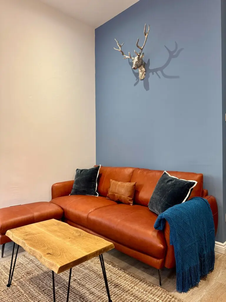 ef7b60e4 c3c8 47ae 9453 8b4691054147.jpeg