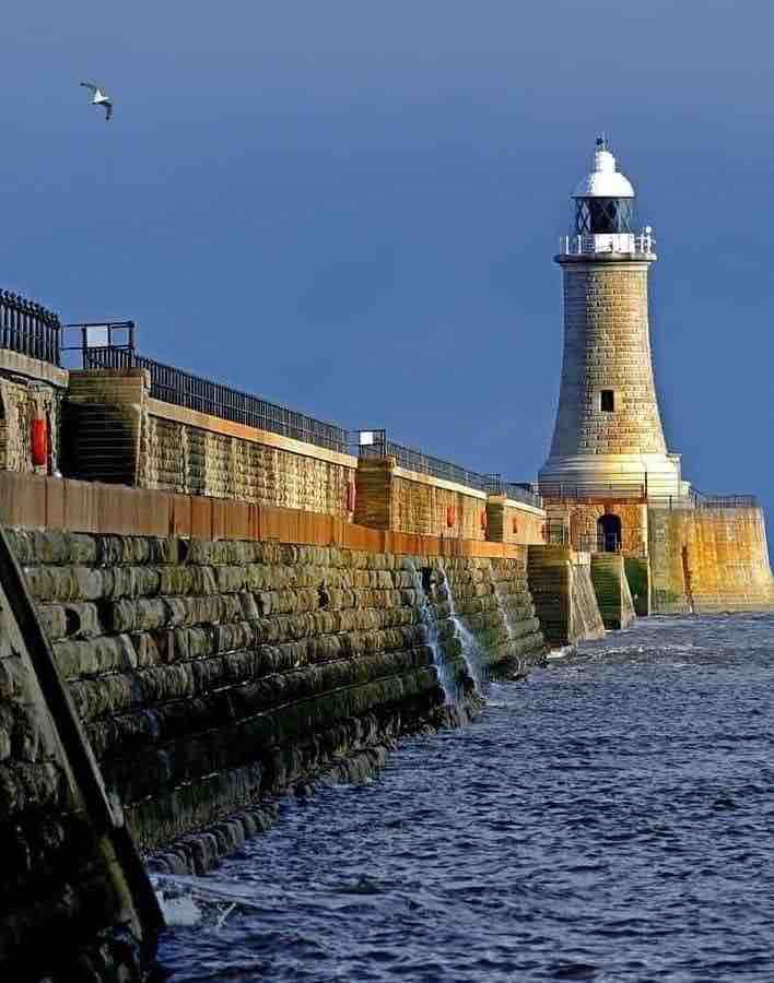 3b800919 6669 47f8 8f07 a7ca1a0717d9.jpg